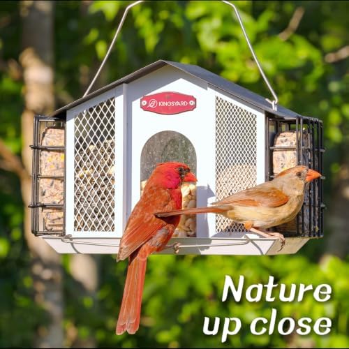 kingsyard 4-in-1 4 lbs large metal bird feeder shown in use