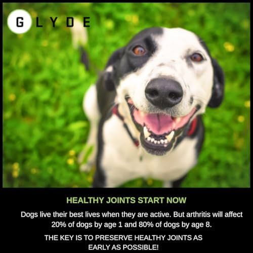 glyde hip & joint supplement for dogs, mobility, close-up detail