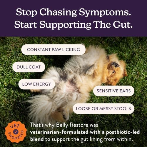 belly restore vet-formulated dog probiotics powder - premium shown in use