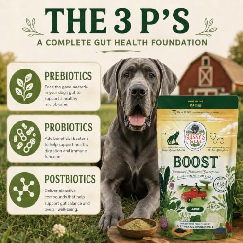 boost fermented prebiotic & probiotics for dogs gut showing dimensions