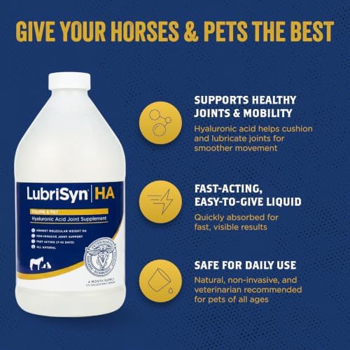 lubrisyn ha hyaluronic acid hip & joint supplement, close-up detail