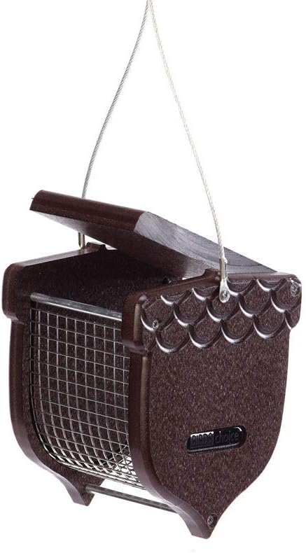 birds choice acorn-shaped peanut bird feeder | 1 showing dimensions