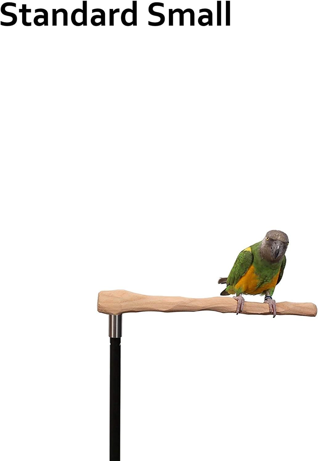 parrot training perch kit (standard, small) shown in use