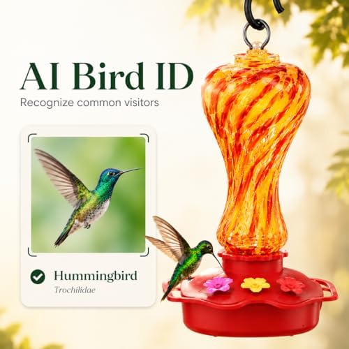 smart glass hummingbird feeder with camera, 2k hd, close-up detail