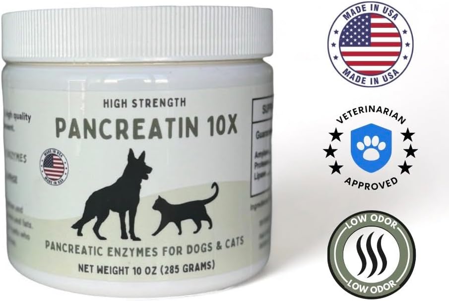 pancreatin 10x - pancreatic enzymes for dogs and shown in use