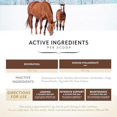 equithrive original joint powder horse supplement, 2 lbs, close-up detail