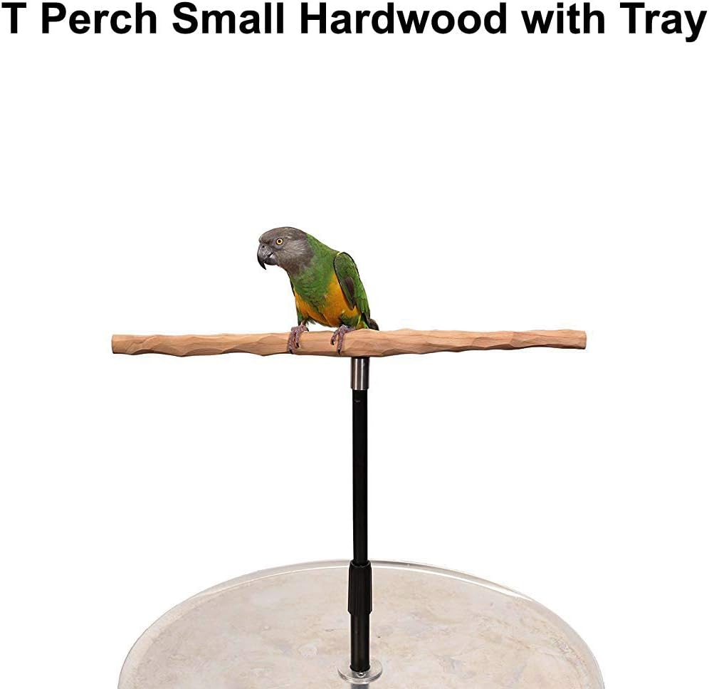 parrot training perch stand with potty tray (t shown in use