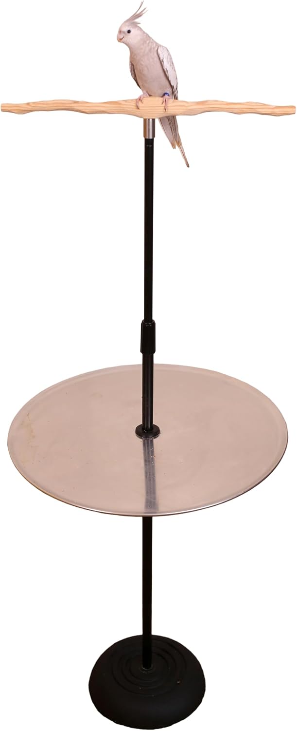 parrot training perch stand with potty tray (t, main product view