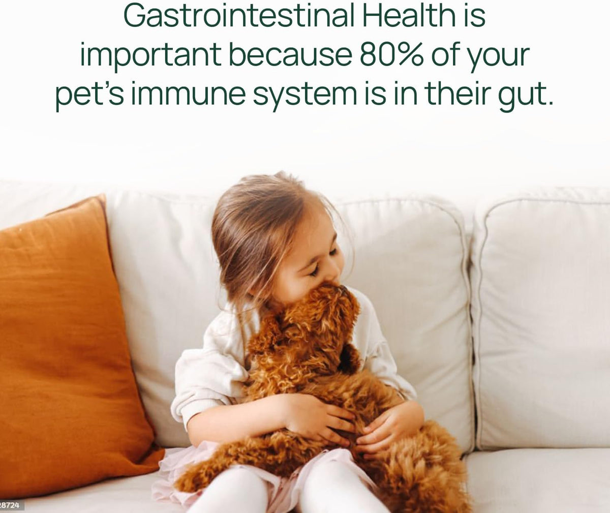 pawtree gastro pro plus® for dogs and cats showing dimensions