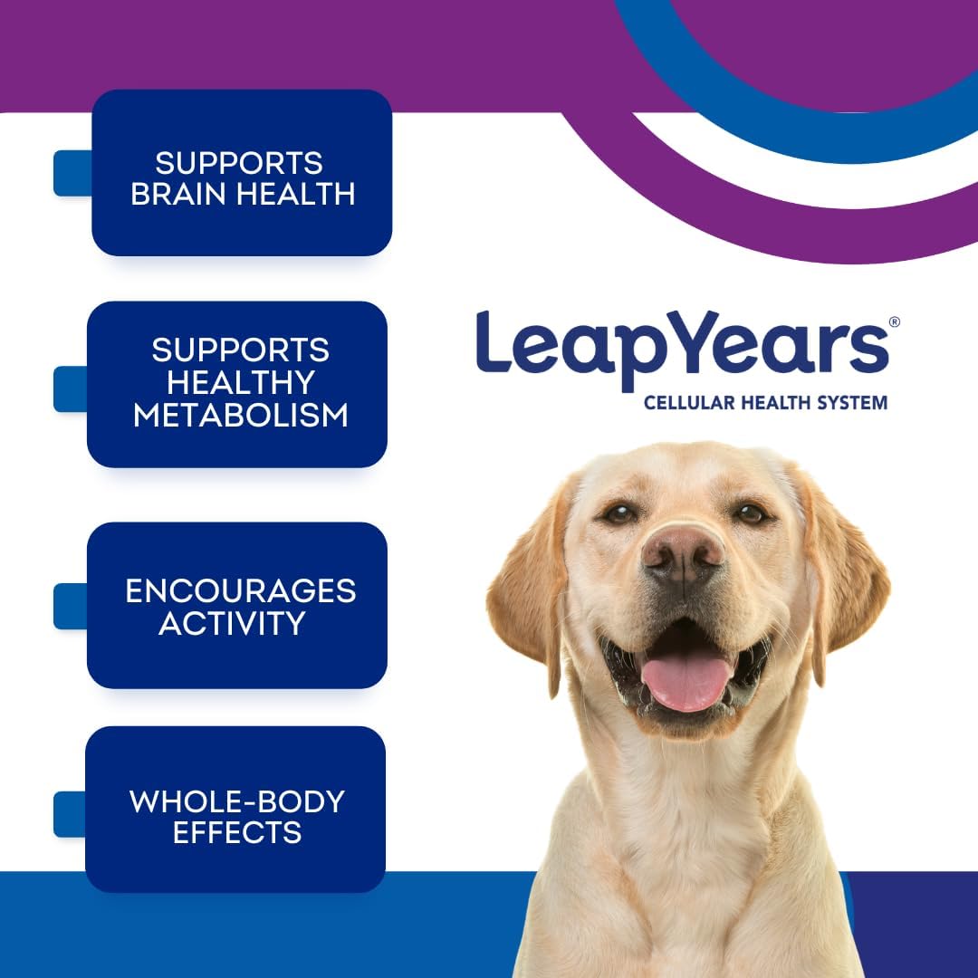 leap years nad+ precursor healthy aging, dog chews shown in use