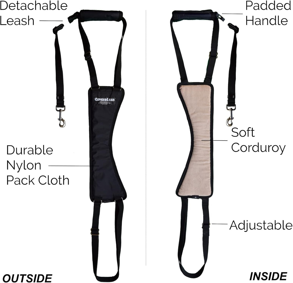 gingerlead® dog support sling rear leg harness, sm, side view