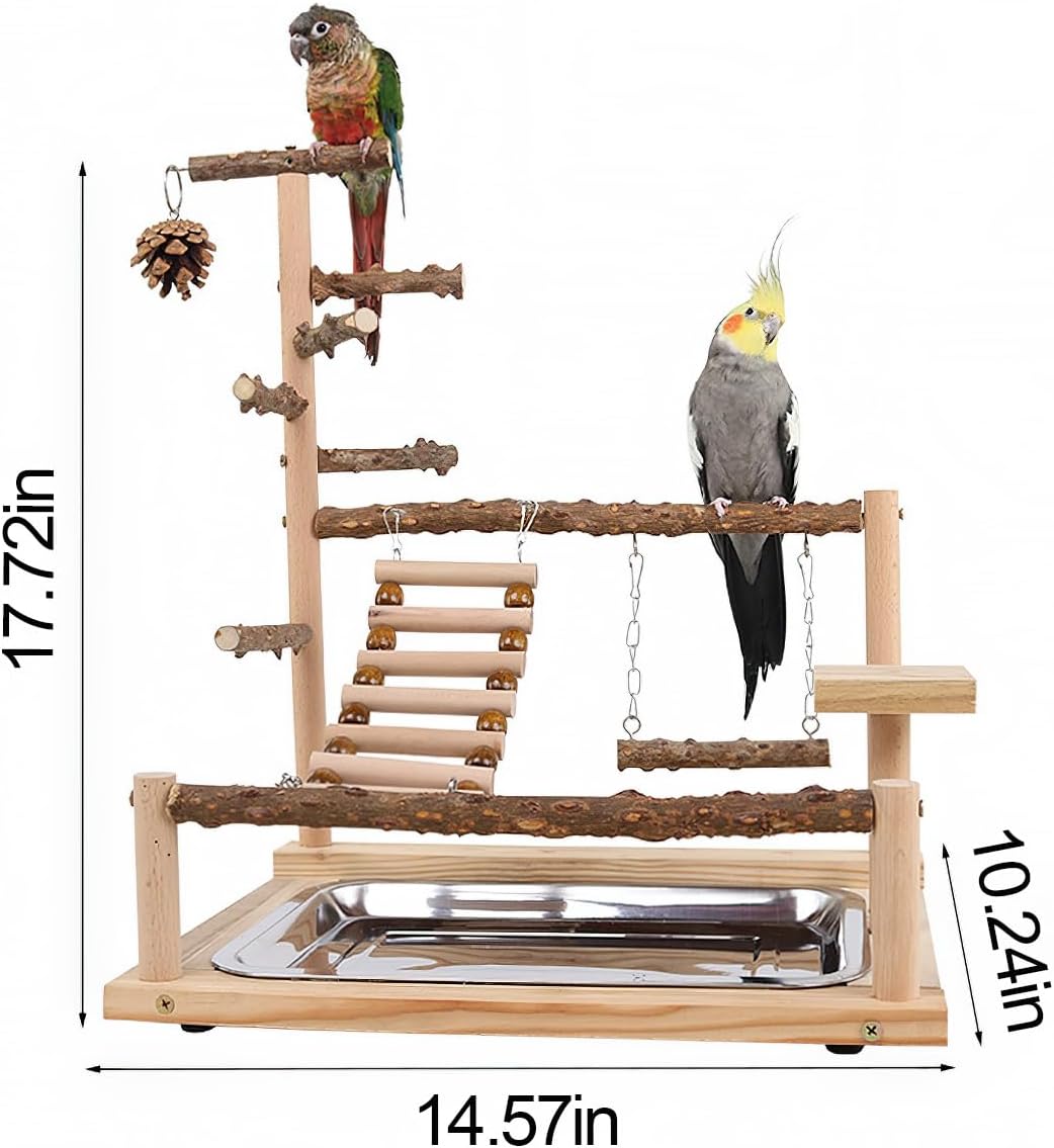 bird playground, parrot perch stand, natural wood bird showing dimensions