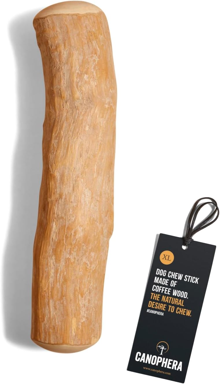 pack of 2 – xl natural coffee wood, main product view