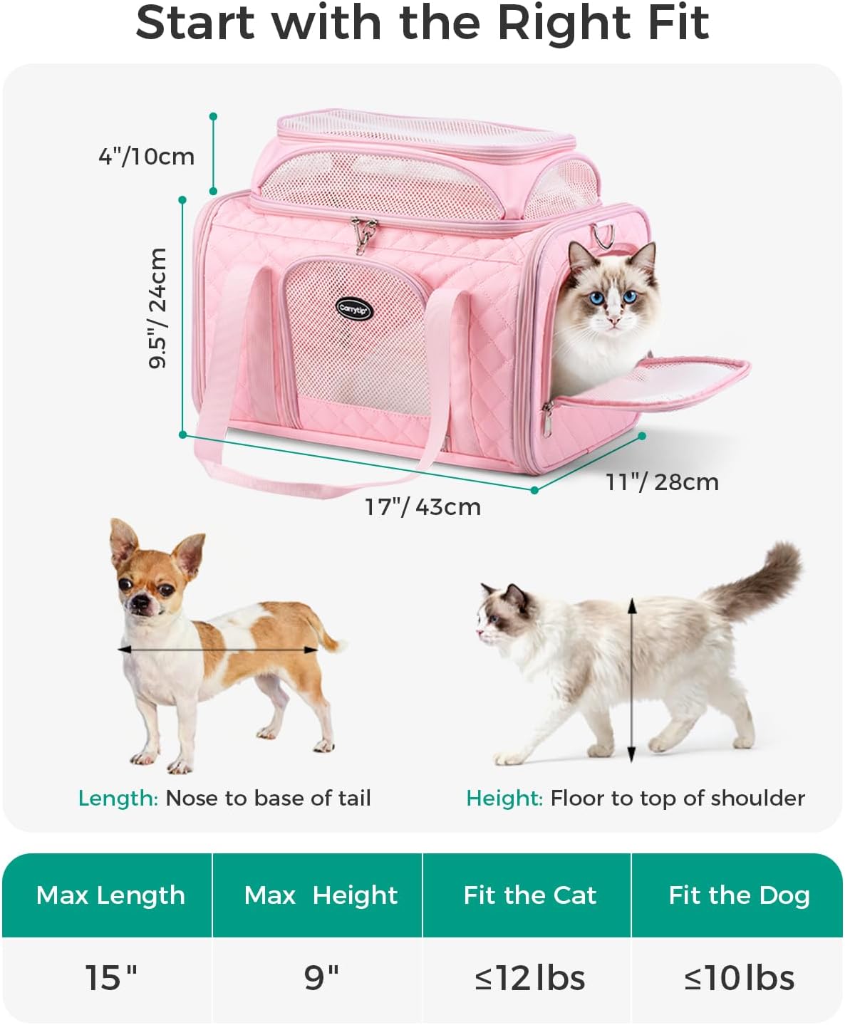 airline approved cat carrier with expandable top, 17x11x9.5 shown in use