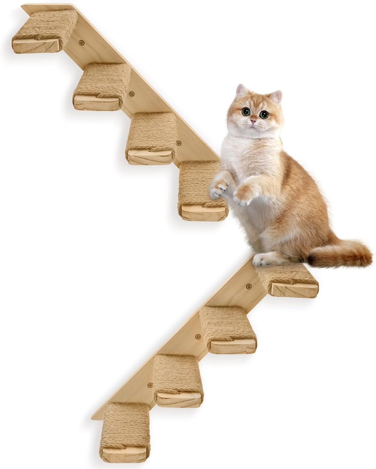 4 steps cat wall shelves and stairs with, main product view