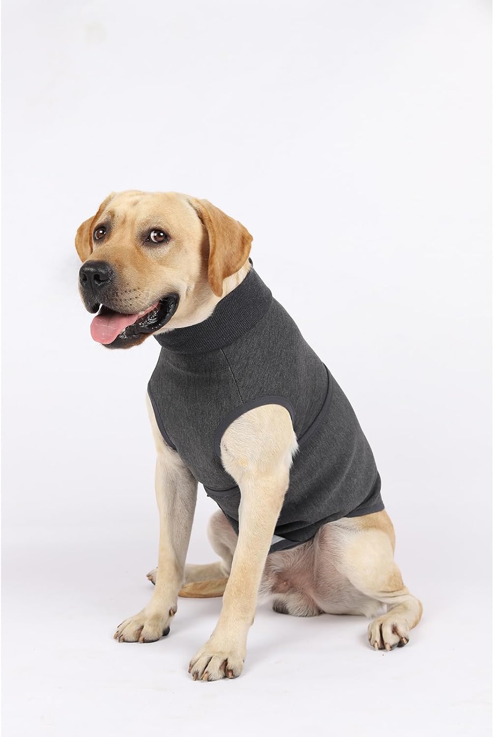 dog anxiety calming thunder vest, main product view