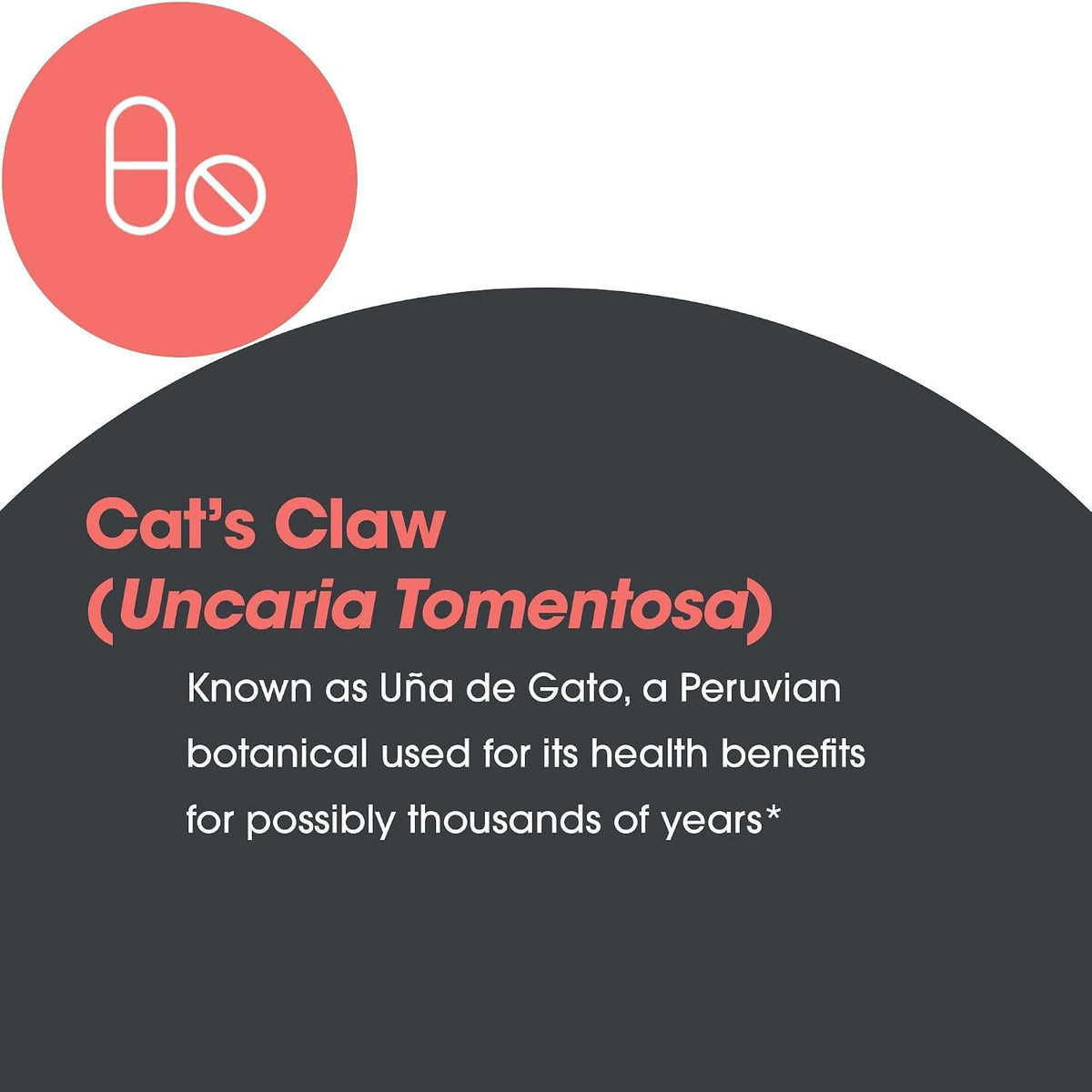 arg cat's claw 1.13 g inner bark extract showing dimensions