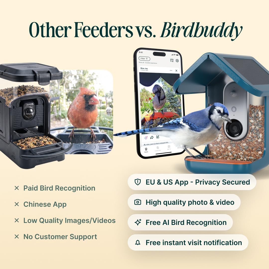 birdbuddy pro solar smart bird feeder with camera showing dimensions
