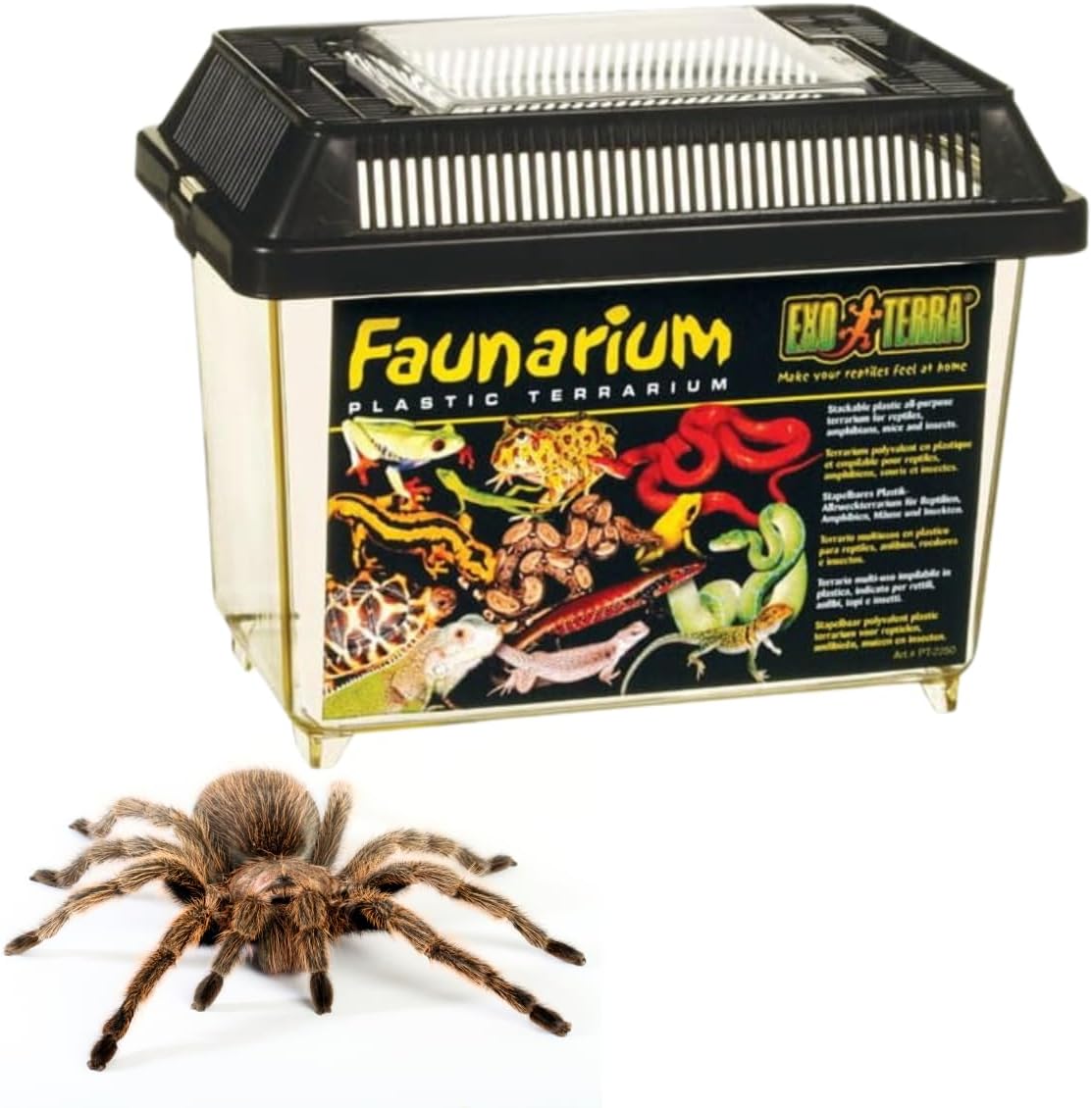 exo terra faunarium, plastic reptile terrarium, large, pt2265 showing dimensions