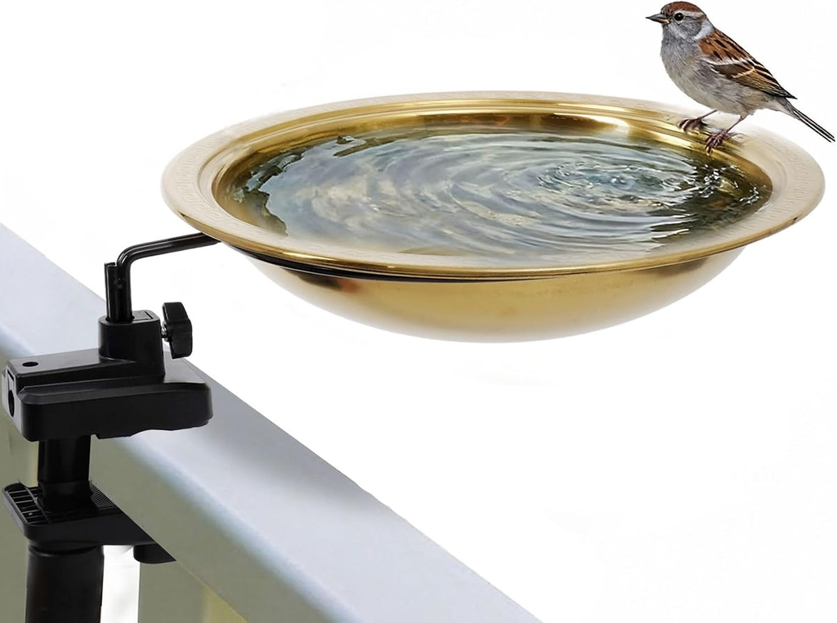 12" diameter 2.6" deep bird bath with 3", main product view