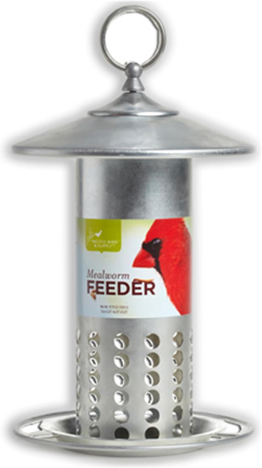 pacific bird and supply pb-0037 galvanized mealworm feeder, main product view