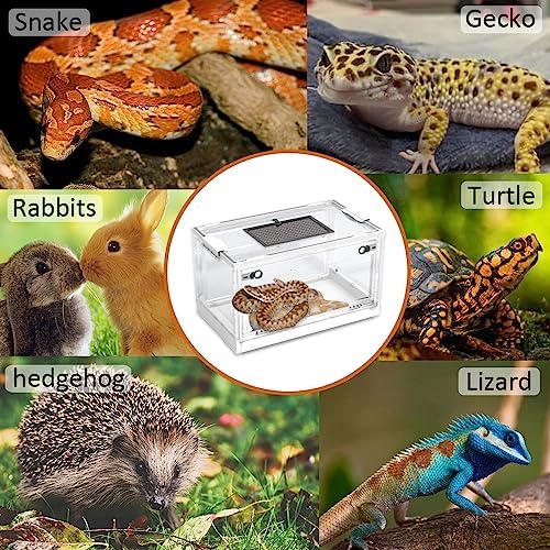 dutiplus large snake reptile tank, habitat cages,white, 21.65"x12.6"x12.2" shown in use