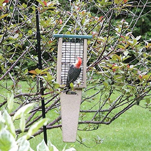 birds choice pileated 2 suet cake feeder with shown in use