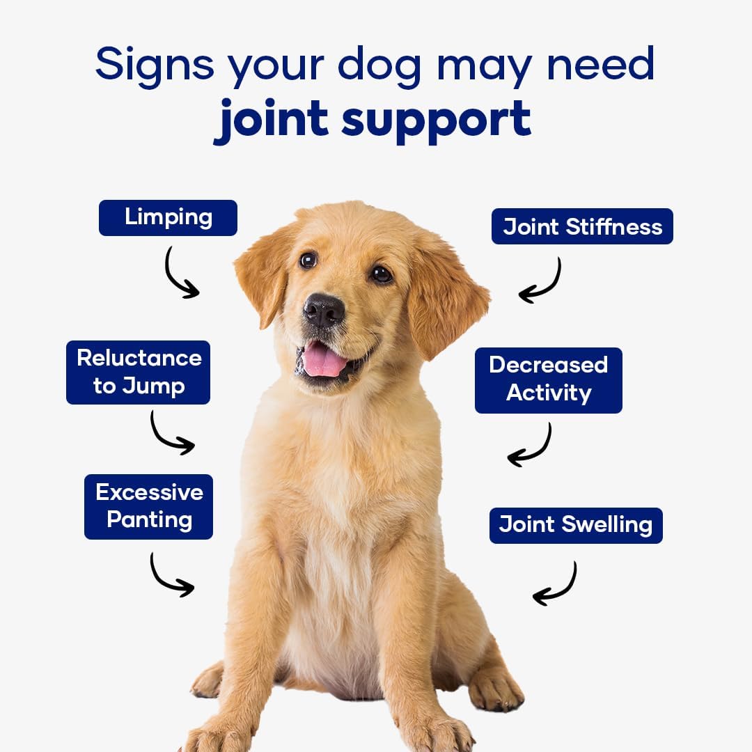 hip and joint supplement for dogs – glucosamine, close-up detail