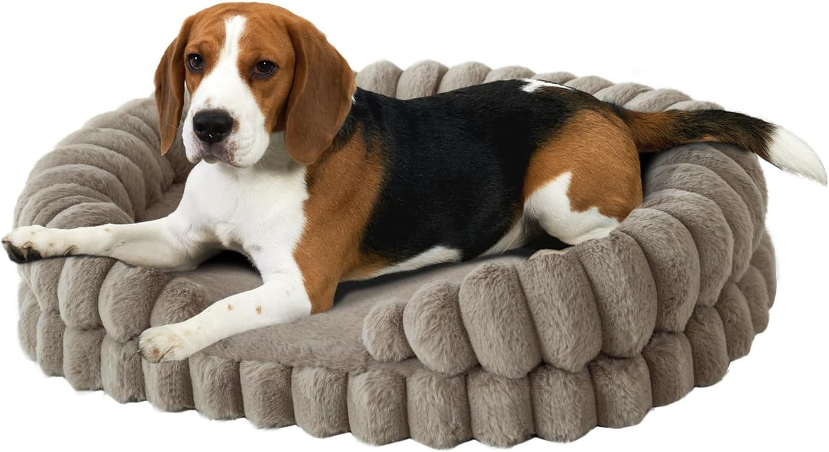 balance calming dog bed for medium sized dogs, main product view