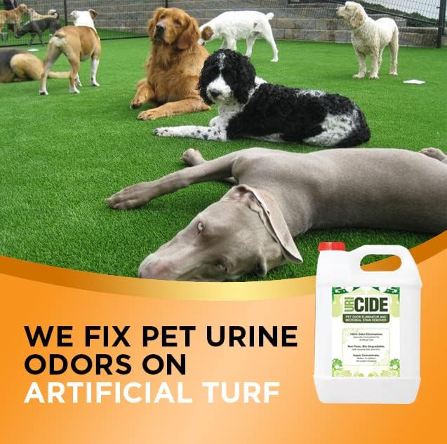 remove pet urine smells from artificial turf! makes, close-up detail