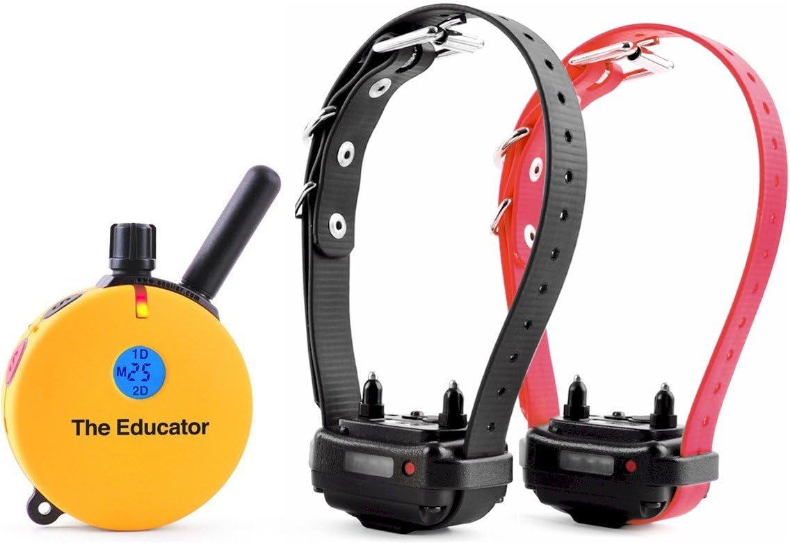 e-collar educator et-402 dog training collar, 2 dog, main product view