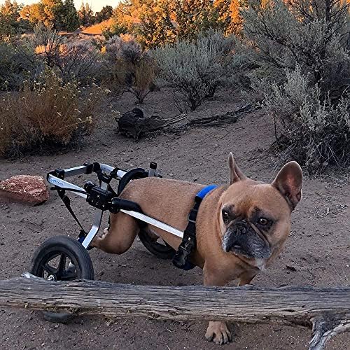dog wheelchair back legs, adjustable, custom made in, main product view