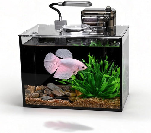1.8 gallon fish tank with light,filter,lid,landscape accessories, main product view