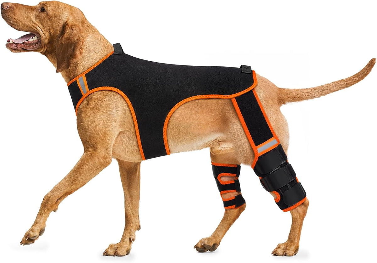 dog knee brace for back leg, acl/ccl tear, main product view