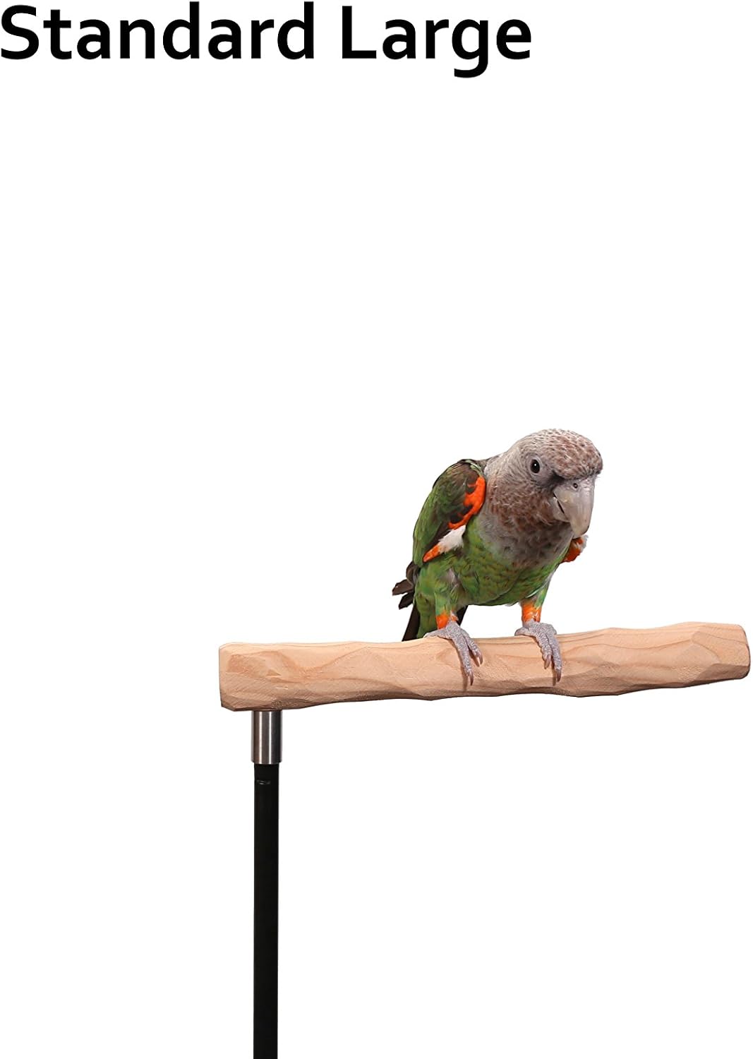 parrot training perch kit (standard, large) shown in use
