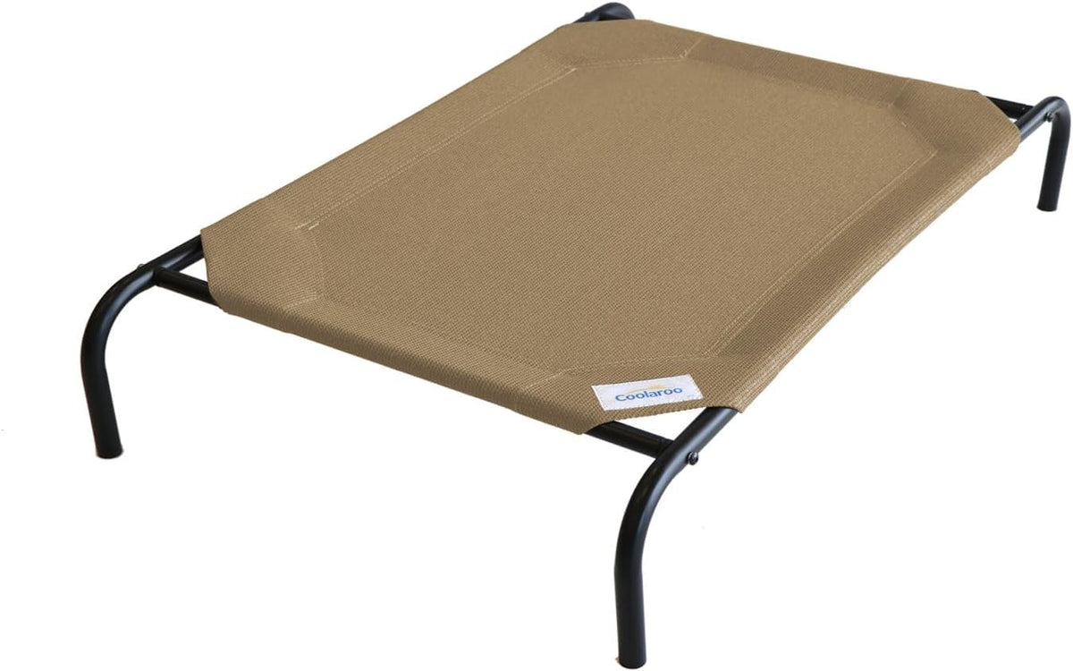 coolaroo original elevated dog bed - breathable off-the-ground, main product view