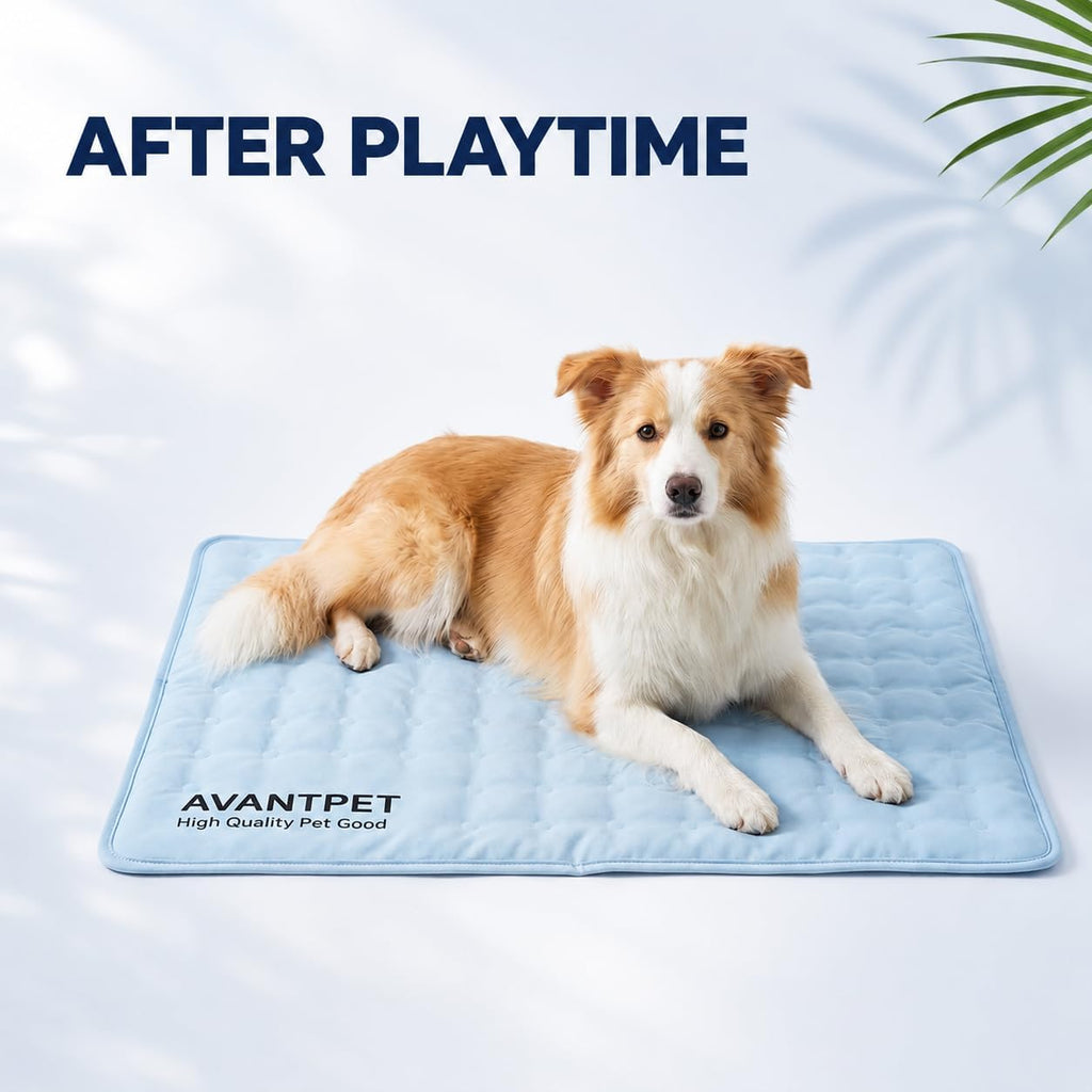 non-toxic gel cooling mat for dogs medium 23.6x19.7 showing dimensions