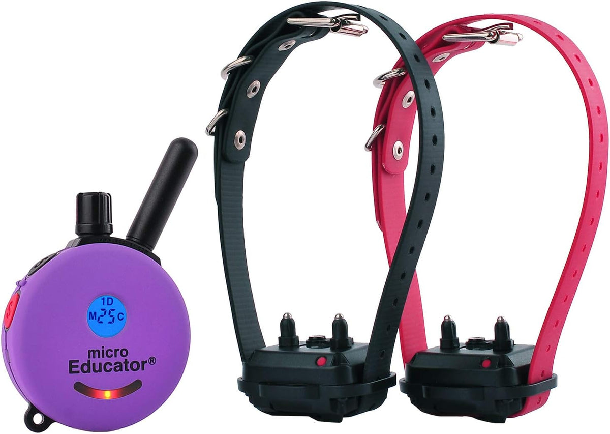 e-collar micro educator me-302 dog training collar with, main product view