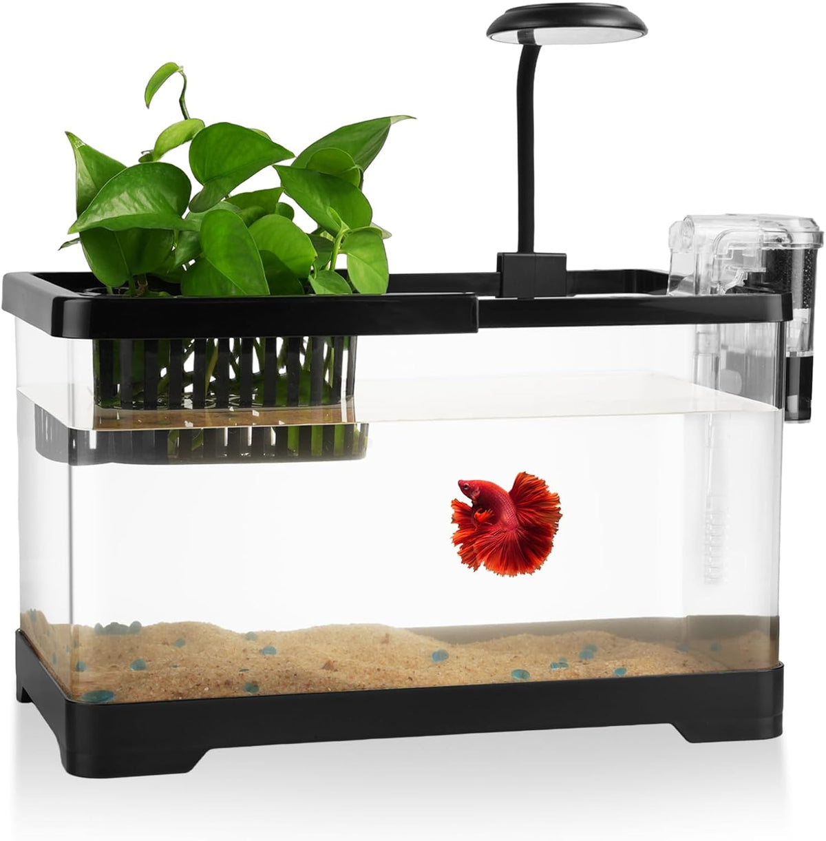 1.8 gallon beta fish tank aquariums kits, main product view