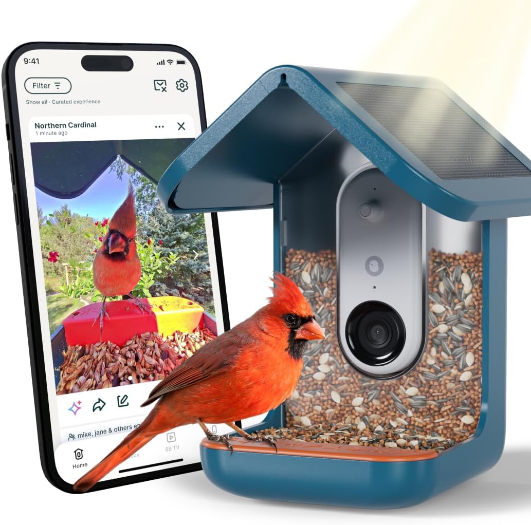 birdbuddy pro solar smart bird feeder with camera, main product view
