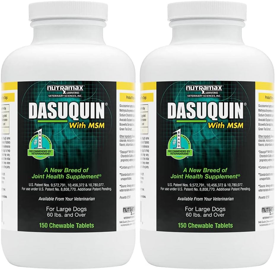 nutramax dasuquin for large dogs, joint health supplement, main product view