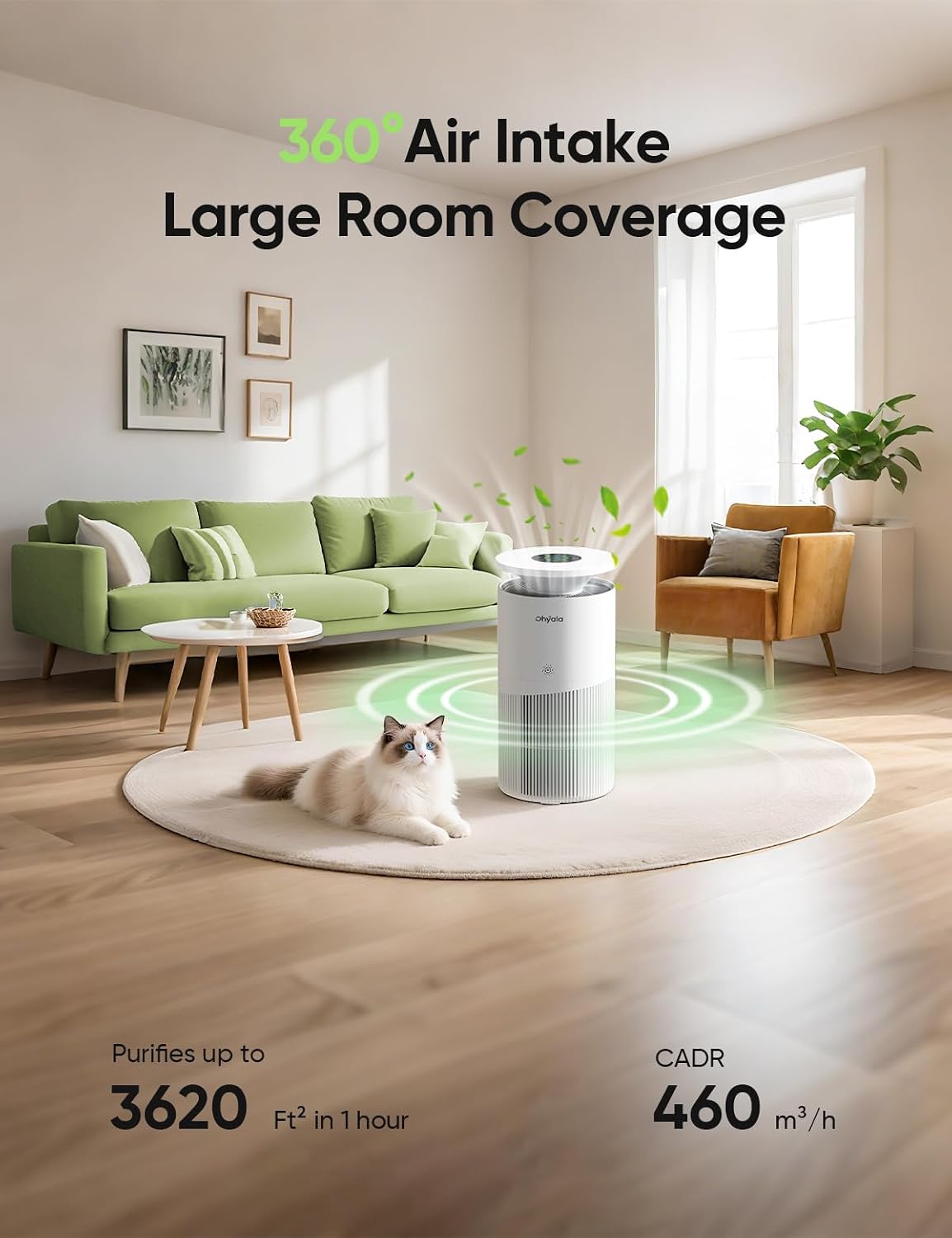 air purifier for home large room up to, close-up detail