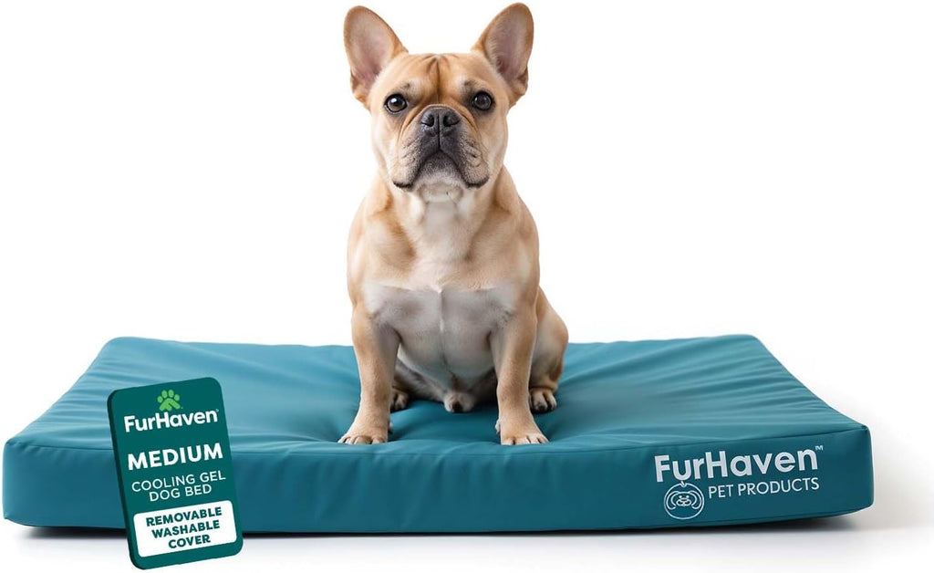 furhaven water-resistant orthopedic dog bed for medium dogs, main product view