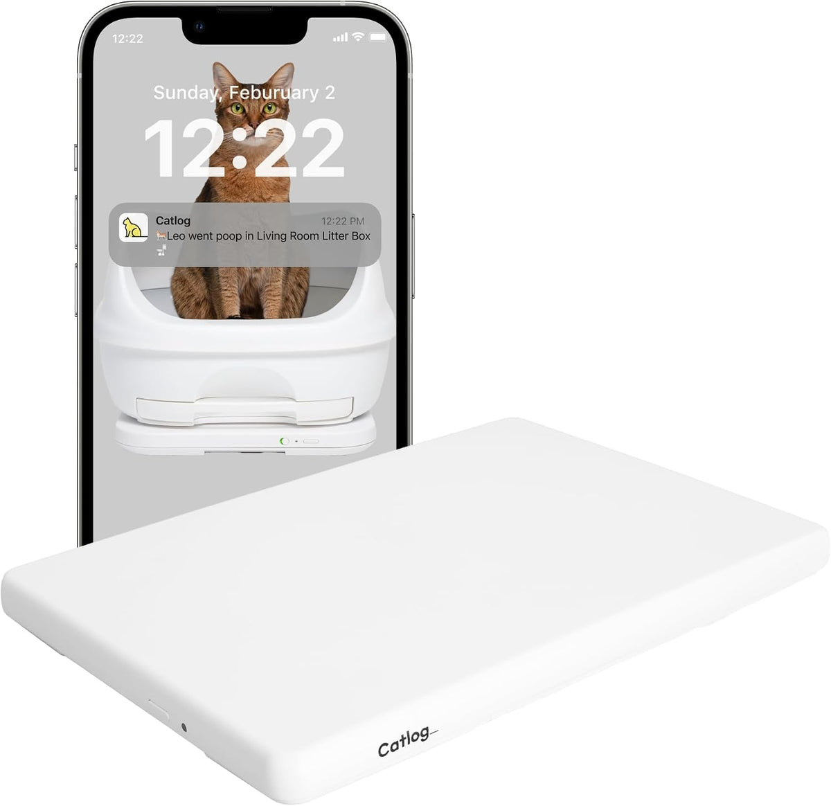 board - smart litter box monitoring system, healthcare, main product view