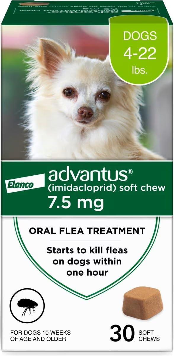 advantus (imidacloprid) soft chew flea treatment for dogs, main product view