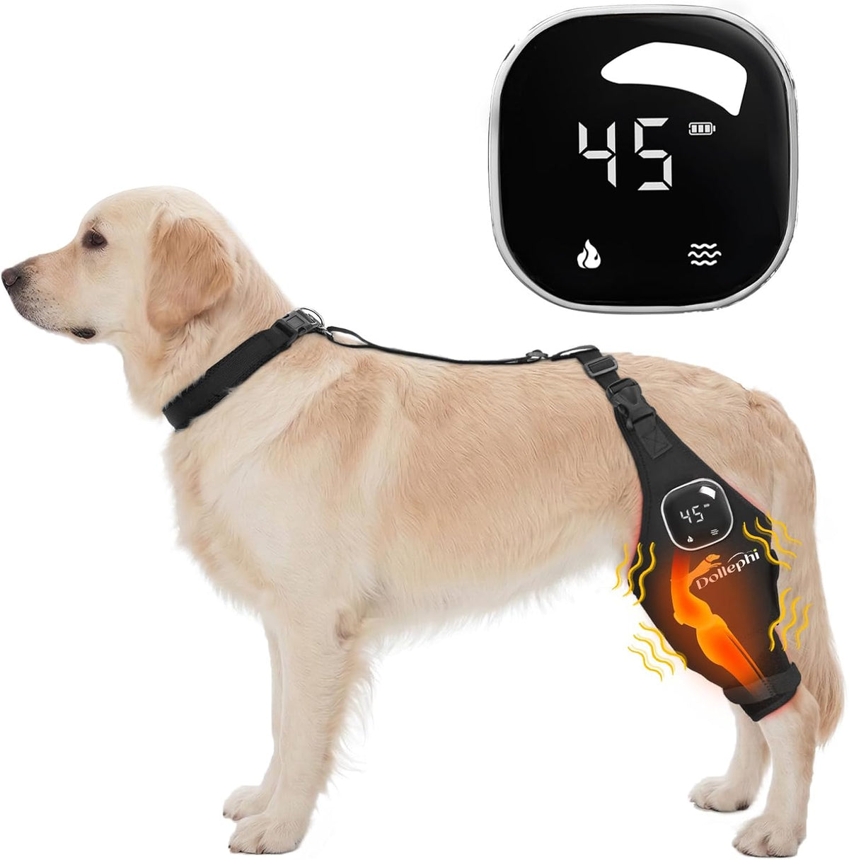 dog knee brace with heat vibration for acl, main product view
