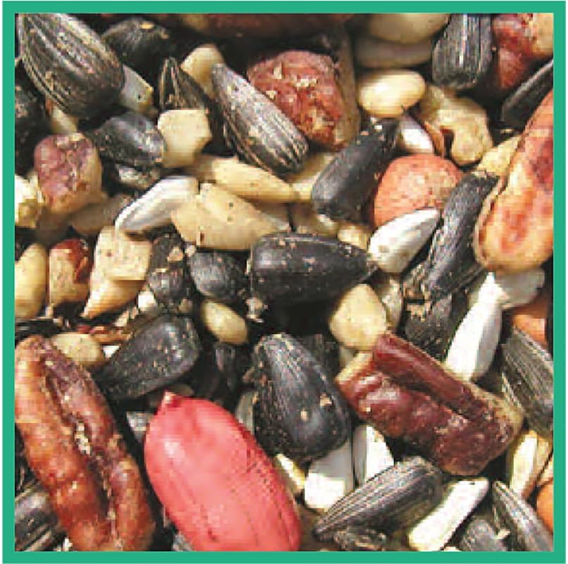 cole's sf20 special feeder bird seed, 20-pound, close-up detail