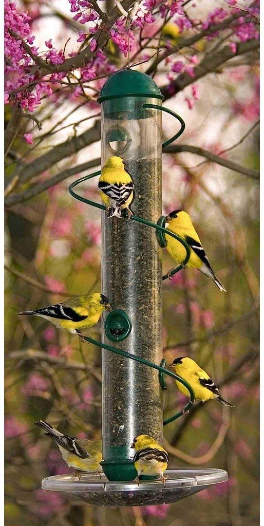 sbf3g 17-inch spiral seed bird feeder - green, main product view
