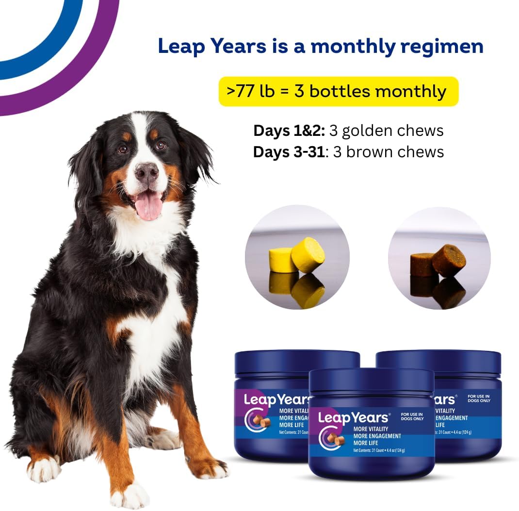 leap years nad+ precursor healthy aging, dog chews showing dimensions