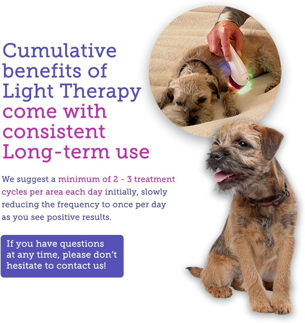 led light therapy for dogs - pain, joint shown in use